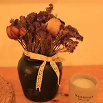 Апартаменты Maja Der Spreegarten