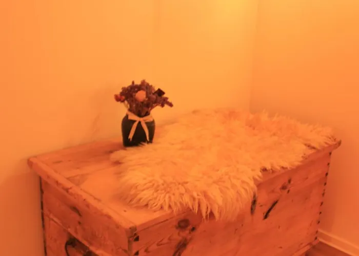 Maja Der Spreegarten Appartement Cottbus